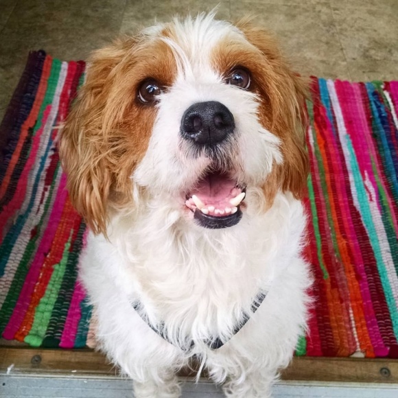 ✌️DirtySweetVintage✌️ - Picture 3 of 6